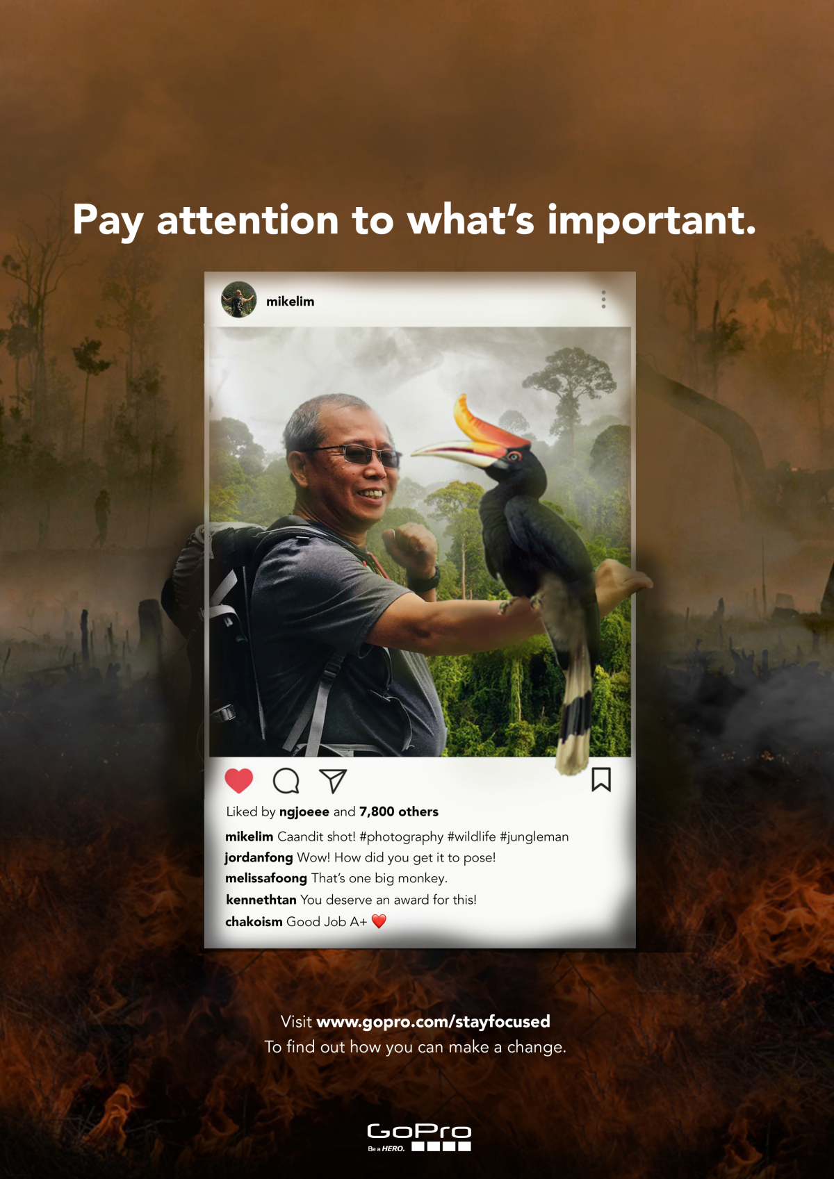 FocusOnTheBiggerPicture_Poster03.jpg