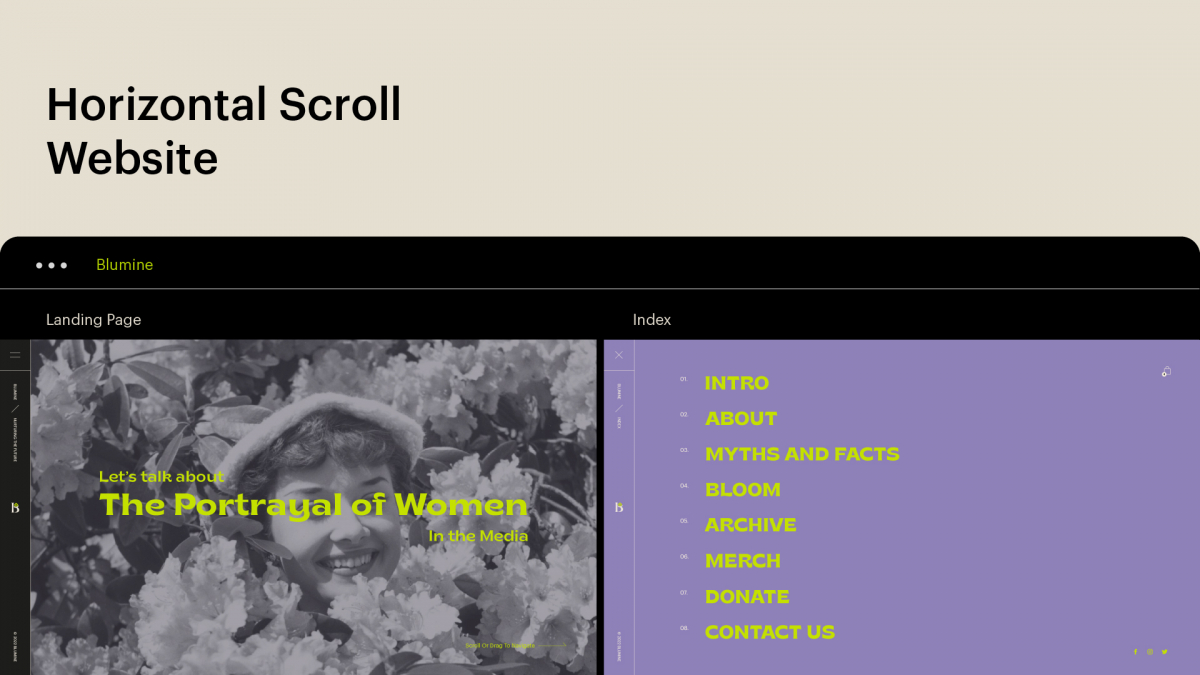 Blumine Website 1.jpg